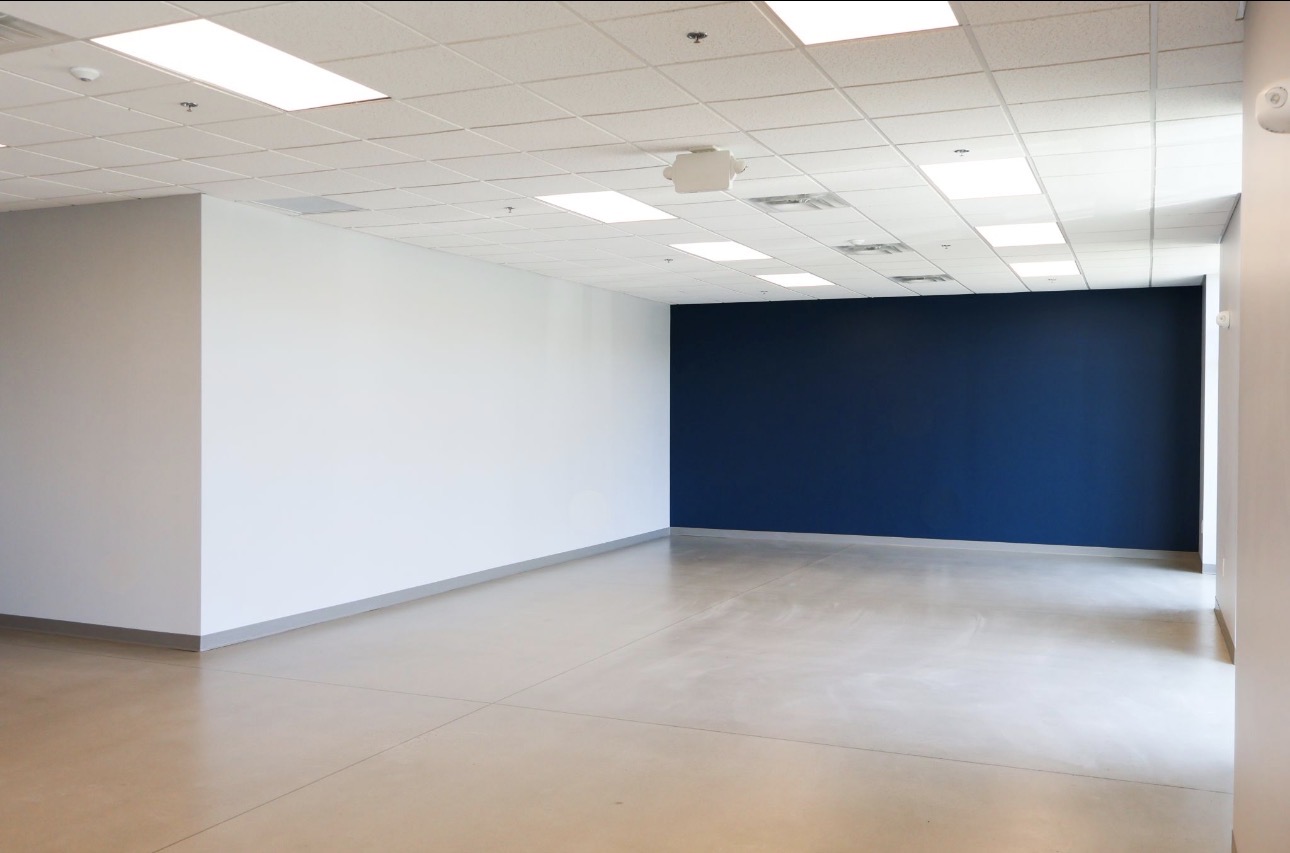 Open office with navy brand accent wall and neutral field walls