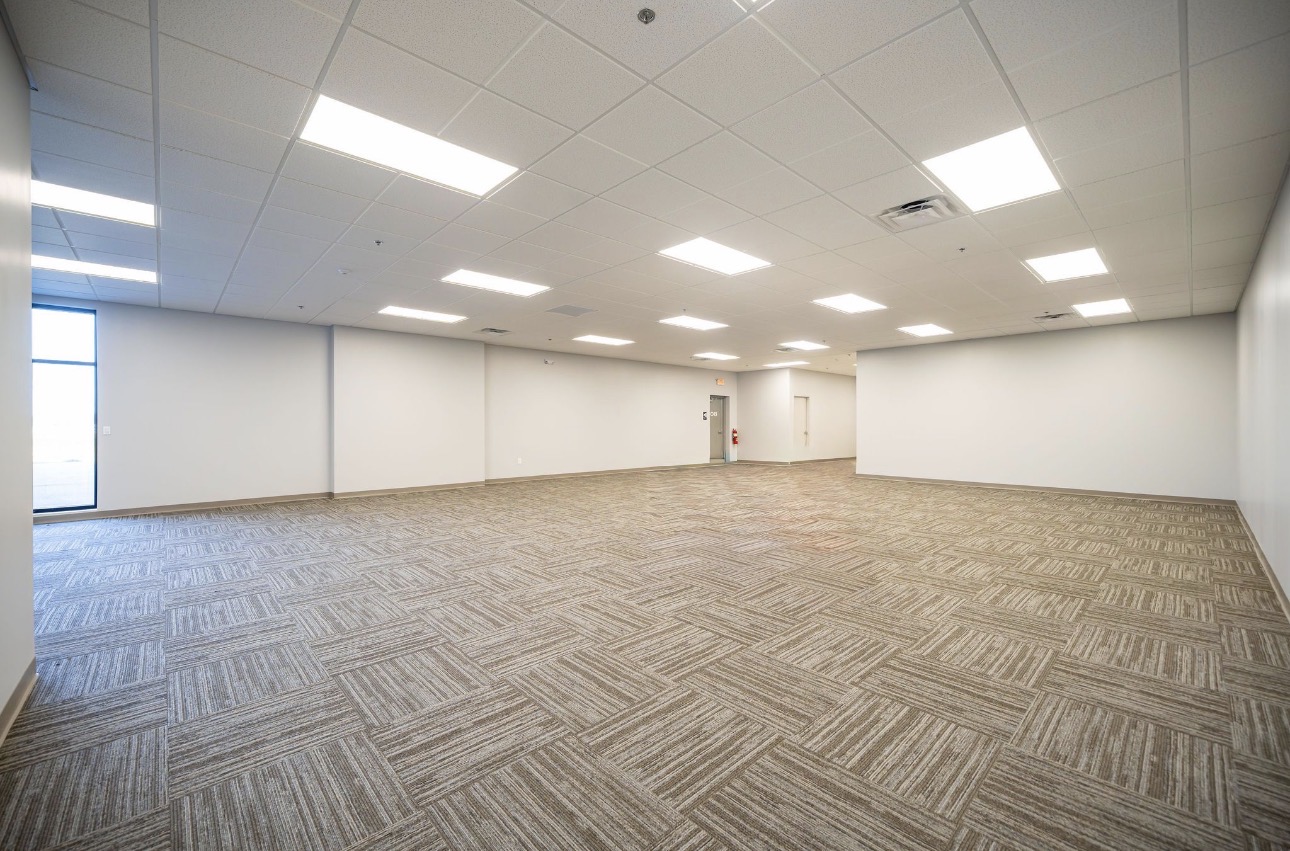Open office area finished to Level 4 walls